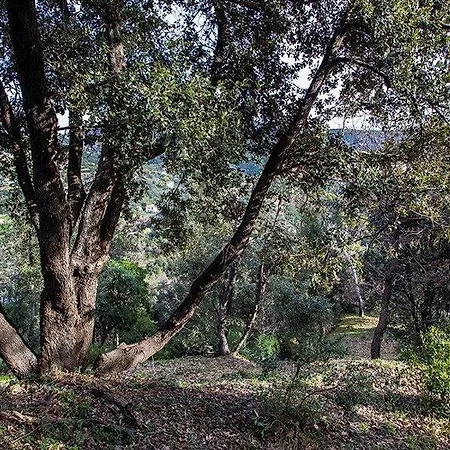 Farm stay Bardi Con Vista Mare
